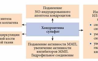 Обзор препарата Хондроглюксид для лечения артроза суставов: эффективность и применение