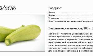 Основные принципы употребления кабачков при подагре для здоровья