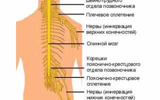 Народные методы лечения радикулита в домашних условиях