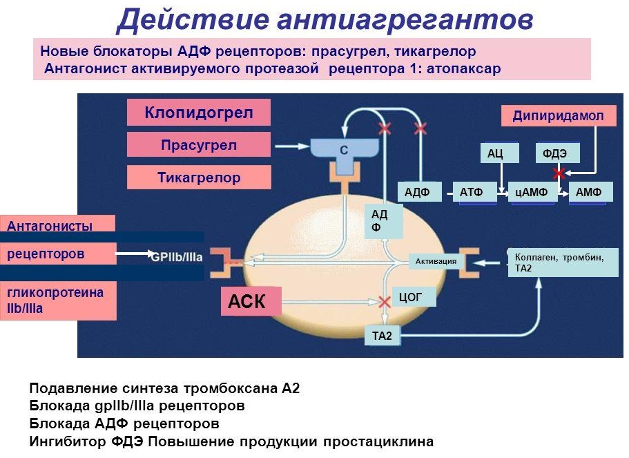 Действие антиагрегантов