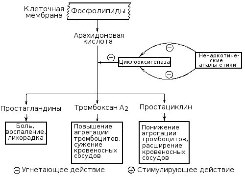 Действие ненаркотических анальгетиков
