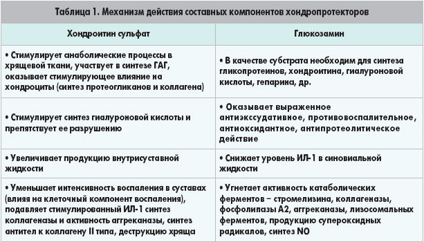Действие составных компонентов хондропротекторов