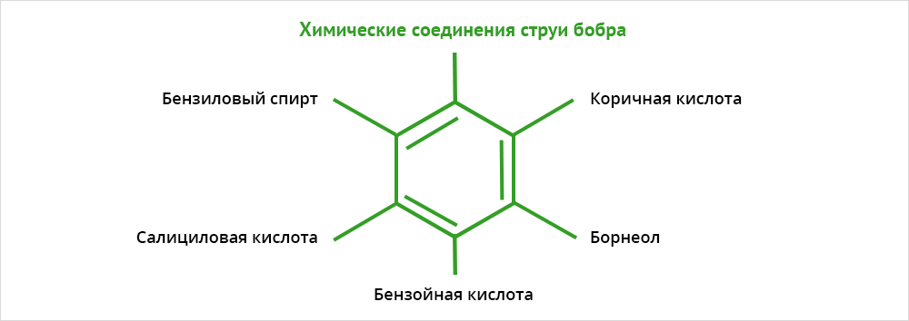 Химические соединения струи бобра