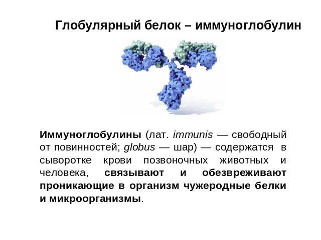 Иммуноглобулин