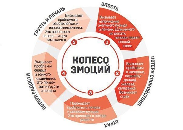 Колесо эмоций
