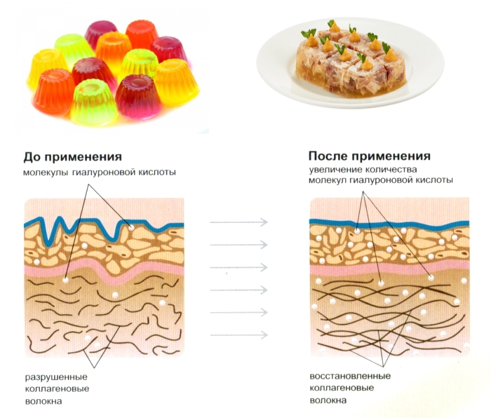 Коллаген для суставов в продуктах из желатина