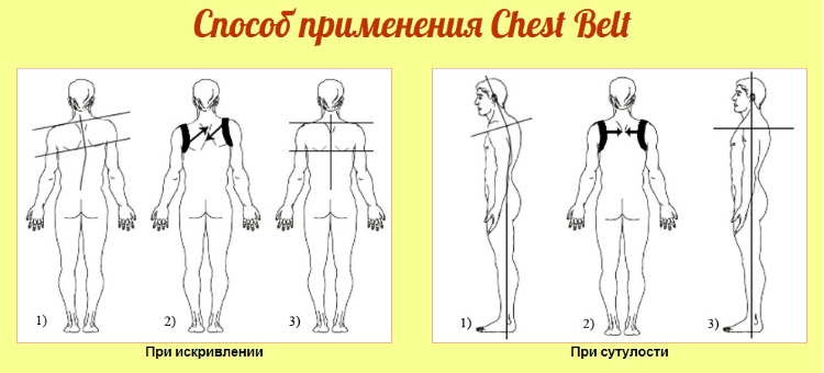 Применение корректора осанки Сhest Belt 