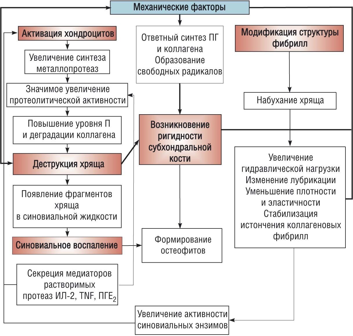 Механические факторы остеоартроза