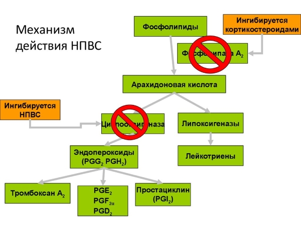 Механизм действия НПВС