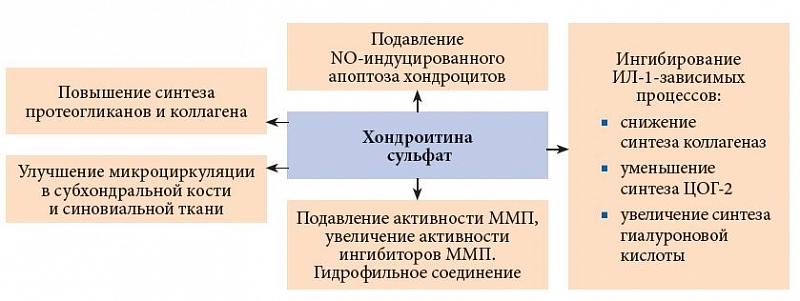 Механизм действия хондроитина сульфата