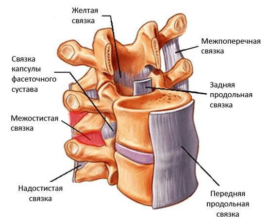 Межостистый лигаментит