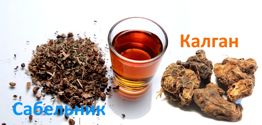 Настой корня сабельника и калгана