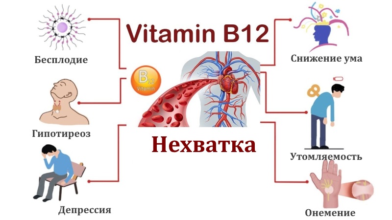 Нехватка витамина b12