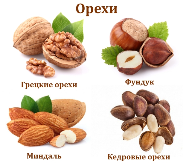 Разрешенные орехи при подагре