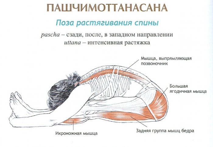Пашчимоттанасана