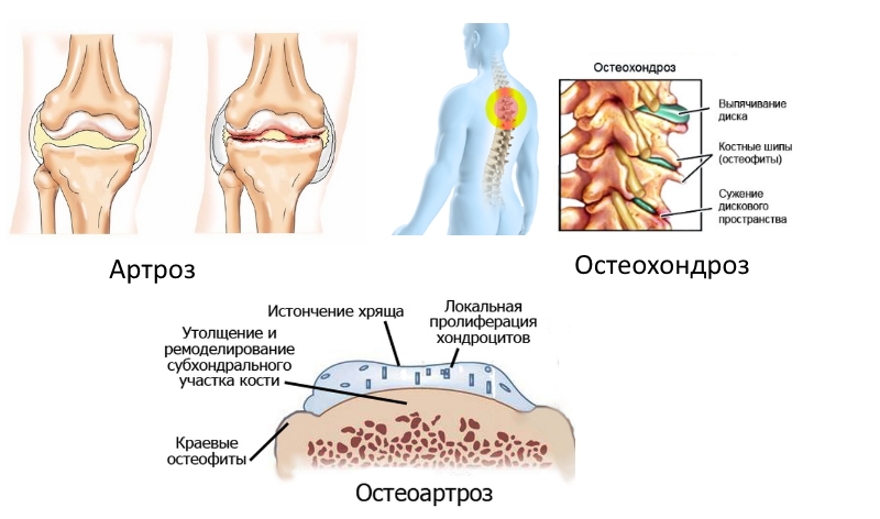 Показания для приема