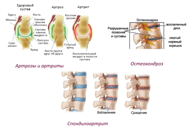 Показания для приема БАДА