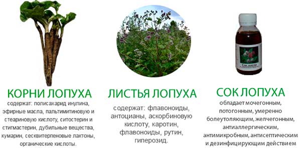 Полезный состав средств из лопуха