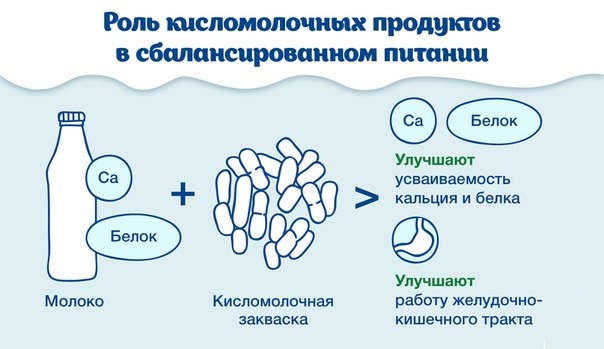 Польза кисломолочных продуктов