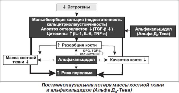 Постменопаузальная потеря массы костей