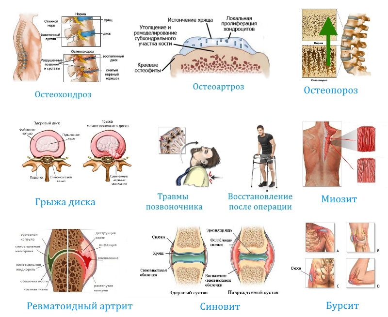 Применение Геладринк Фаст