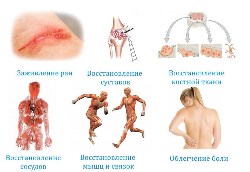 Применение препарата
