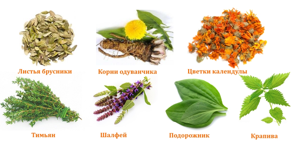 Состав БАДа Артровит