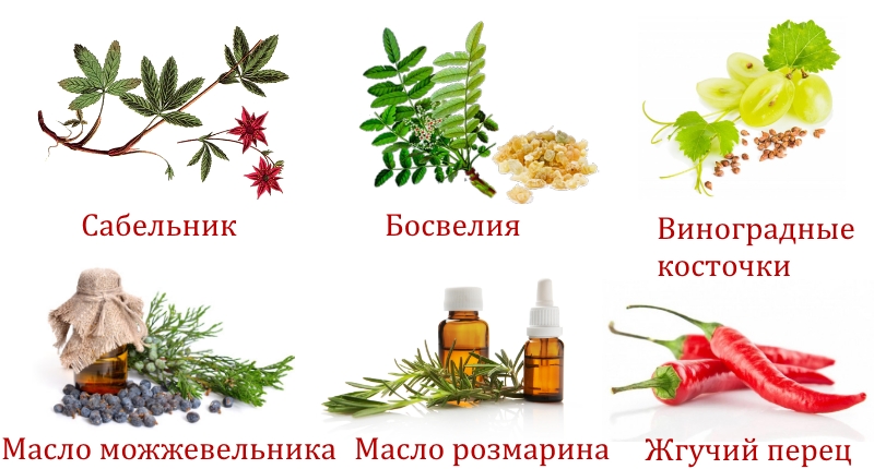 Состав Хондромикса