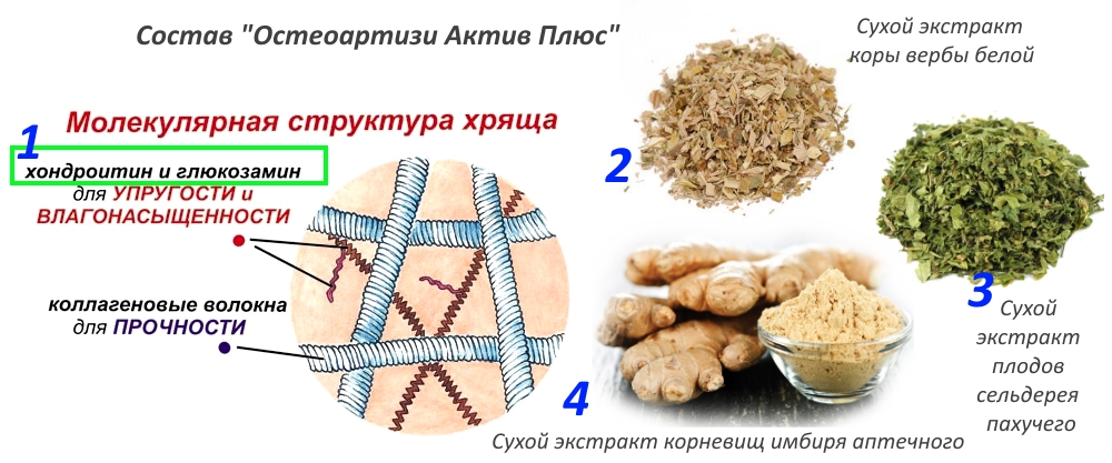 Состав Остеоартизи Актив Плюс