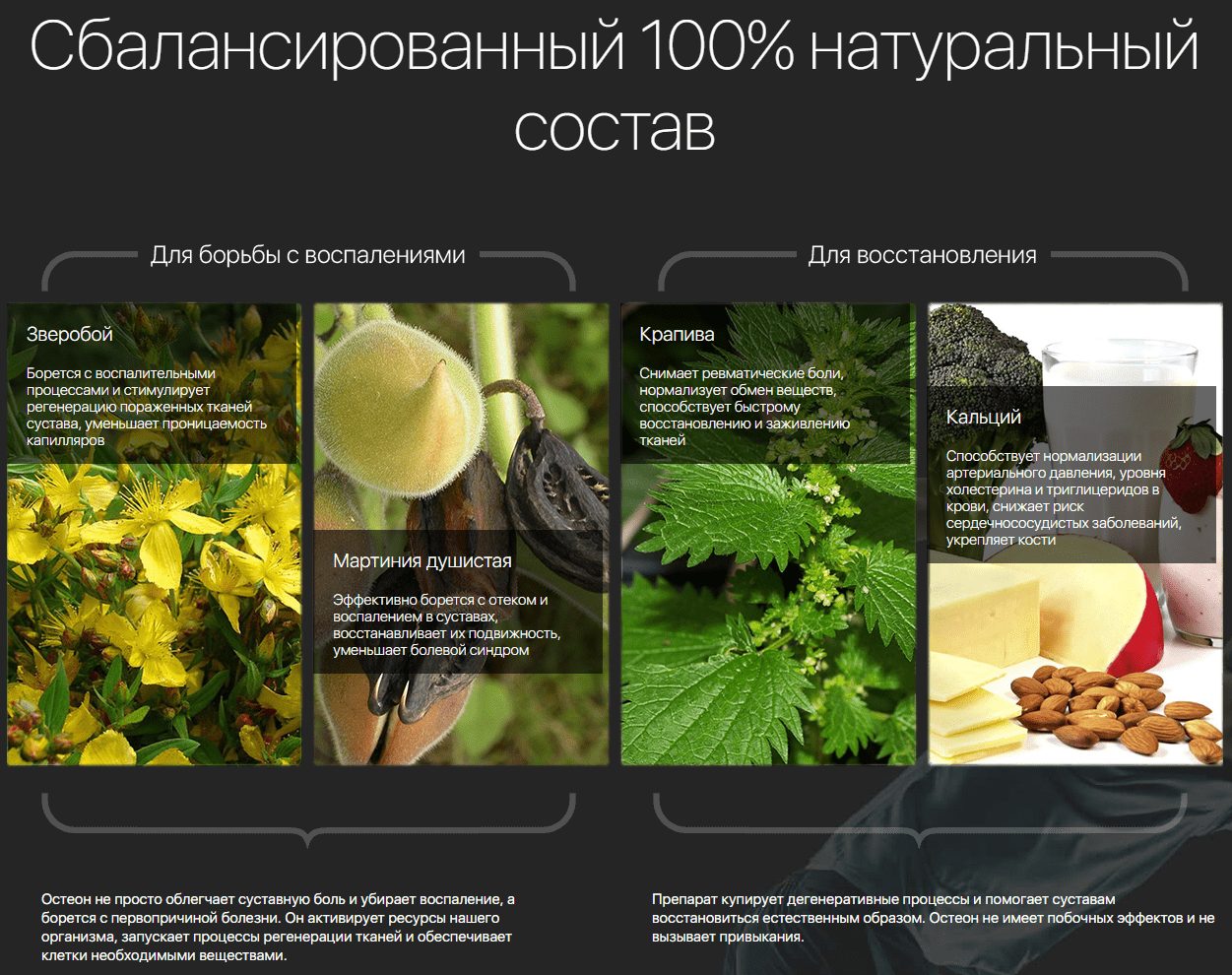 Состав Остеона