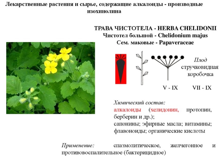 Состав чистотела