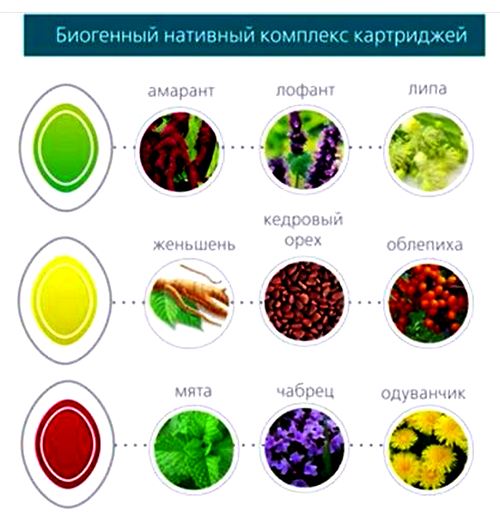 Состав компонентов пропитки сменных картриджей шины Valgulex
