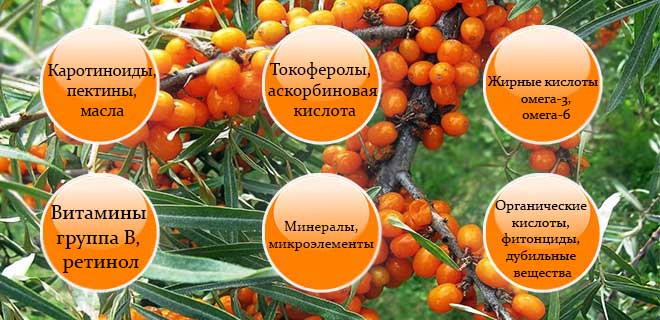 Состав облепихи