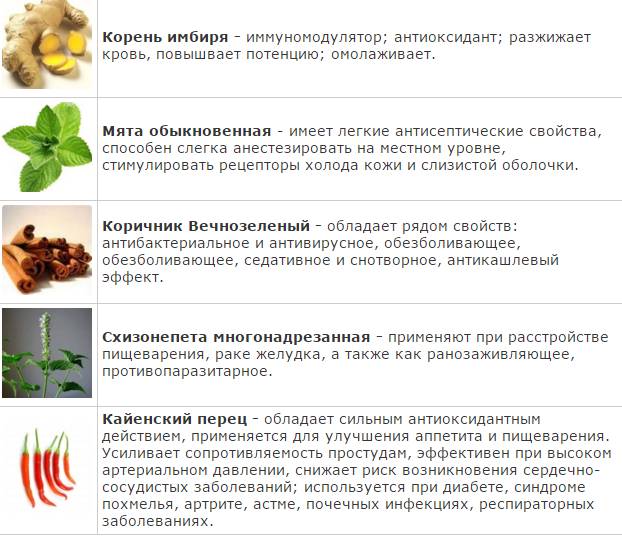 Активные вещества пластыря Маочжэн