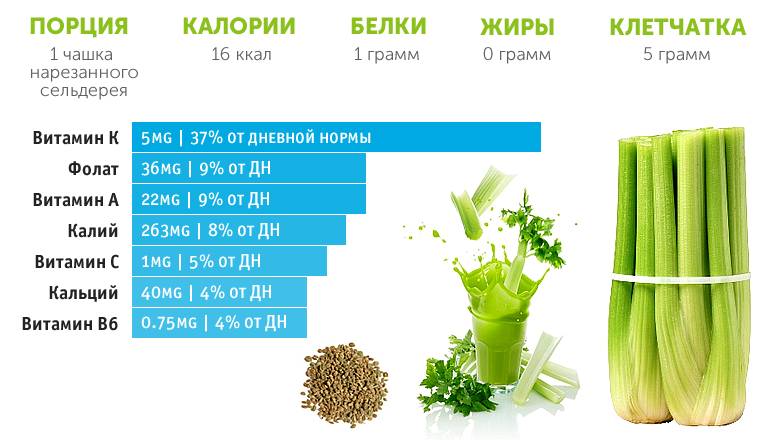 Полезный состав сельдерея
