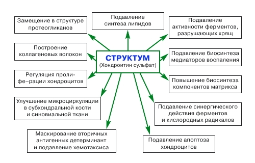 Свойства препарата Структум