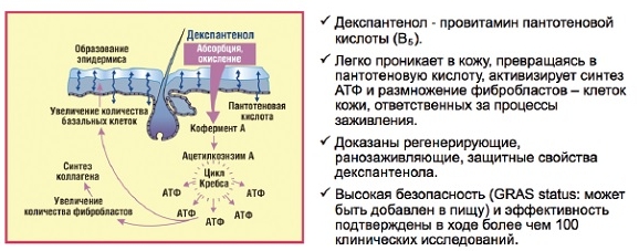Свойства Декспантенола