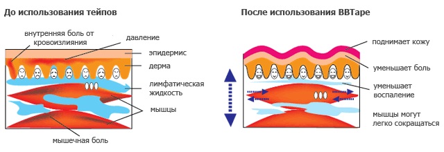 Свойства тейпов