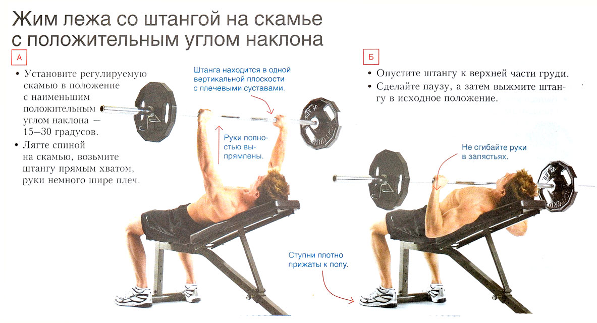 Безопасная техника жима штанги лежа