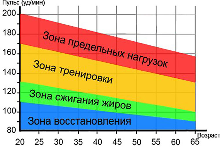 Зоны физической нагрузки в зависимости от возраста