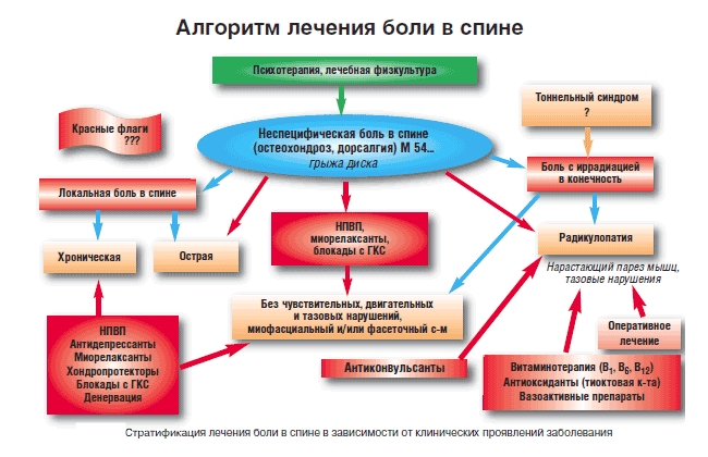 Алгоритм лечения боли в спине