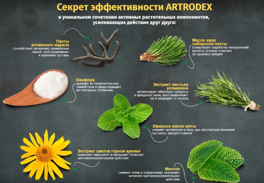 Состав Артродекс