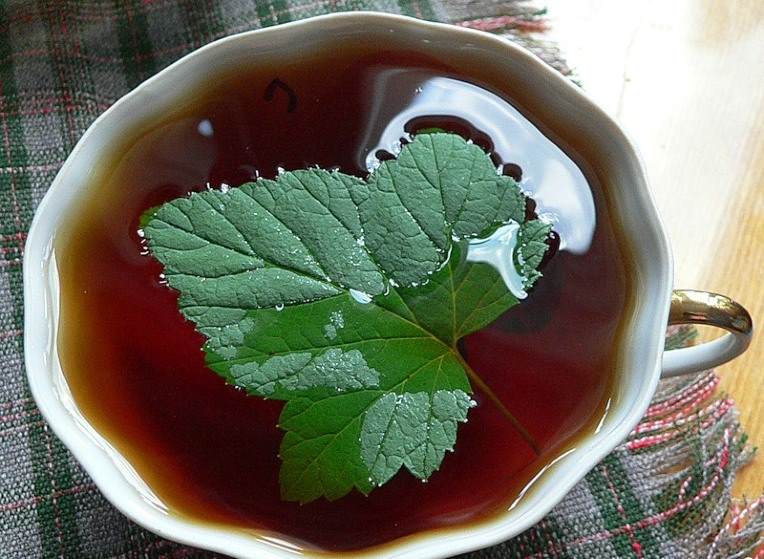 Чай с листьями смородины