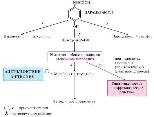 Действие анальгетиков