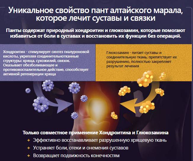 Действие Артропанта на суставы