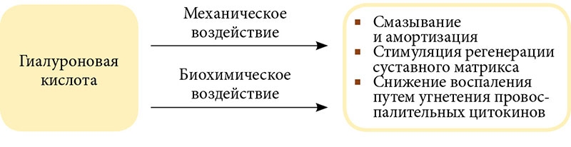 Действие гиалуроновой кислоты на воспаление