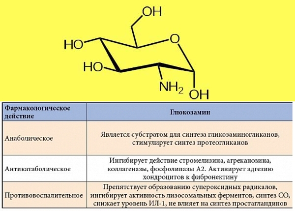 Действие глюкозамина