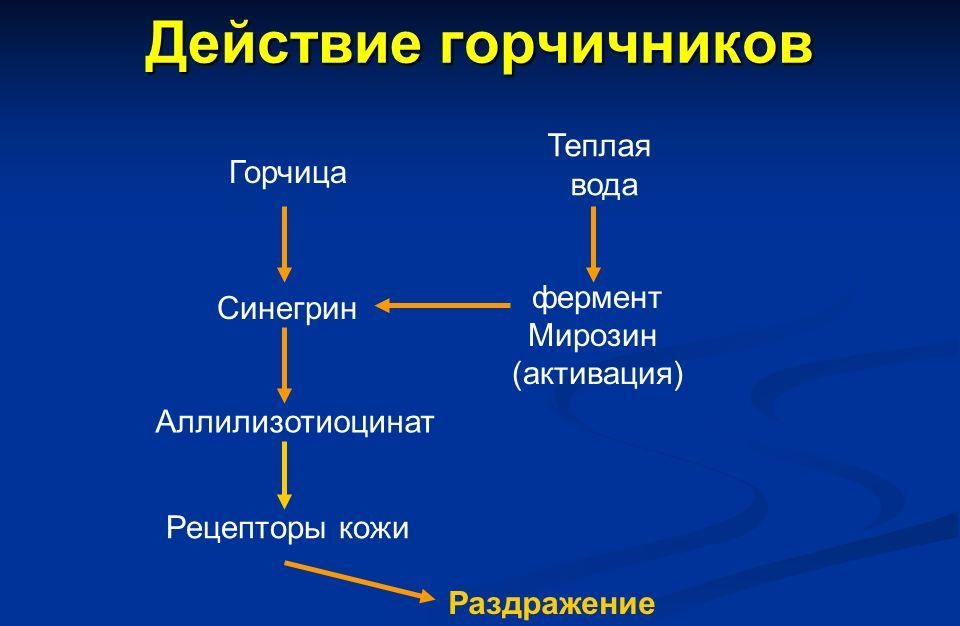 Действие горчичников при остеохондрозе