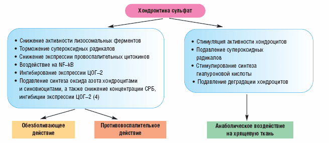 Действие хондроитина сульфата