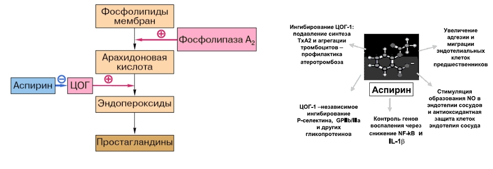Действие и свойства аспирина